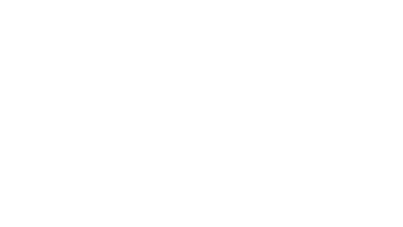 Çekiç ve Gül: Bir Behzat Ç. Hikayesi